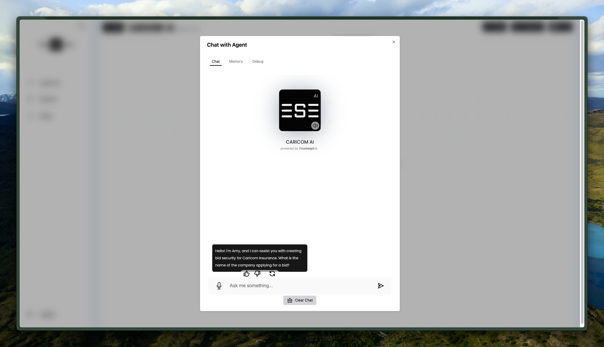 Chatting with an Agent